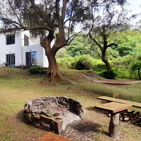 Villa Casa De Olivos